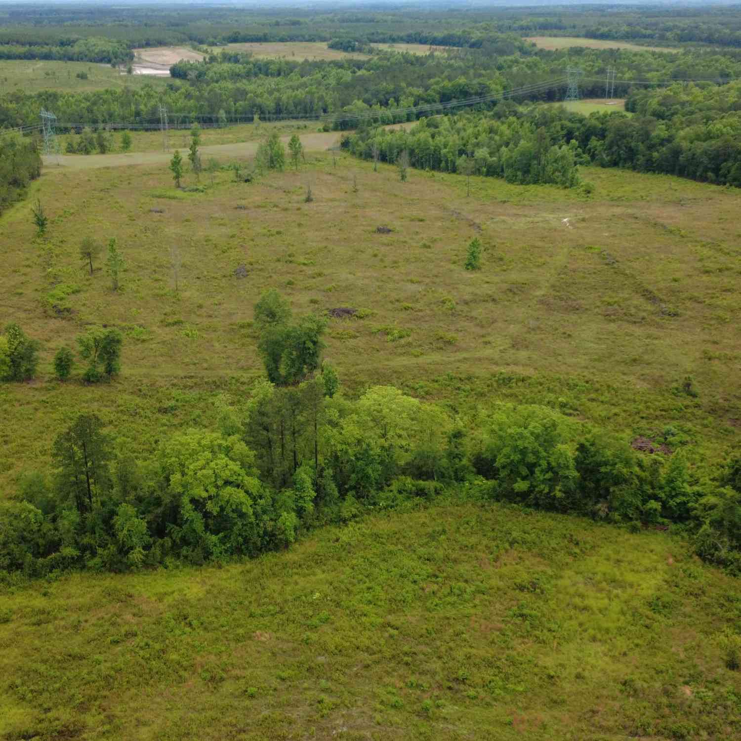 Vacant Land For Sale - Hwy 165<br/> Eastman, GA 31023