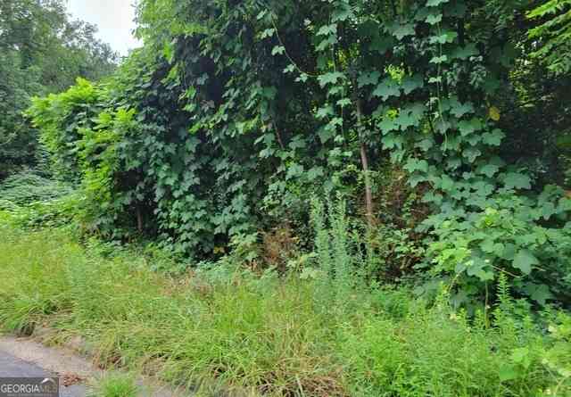 Vacant Land For Sale - 1036 Walnut Creek Lane<br/> Clayton County, Jonesboro, GA 30238