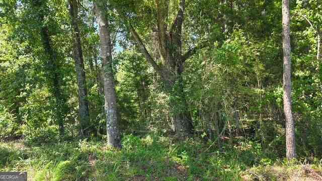 Vacant Land For Sale - Willow Lake Road<br/> Fort Valley, GA 31030