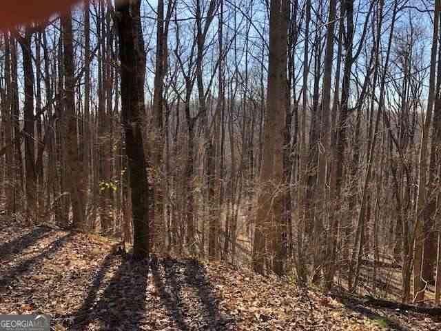 Vacant Land For Sale - Highlands Parkway # LOT 45<br/> Jasper, GA 30143