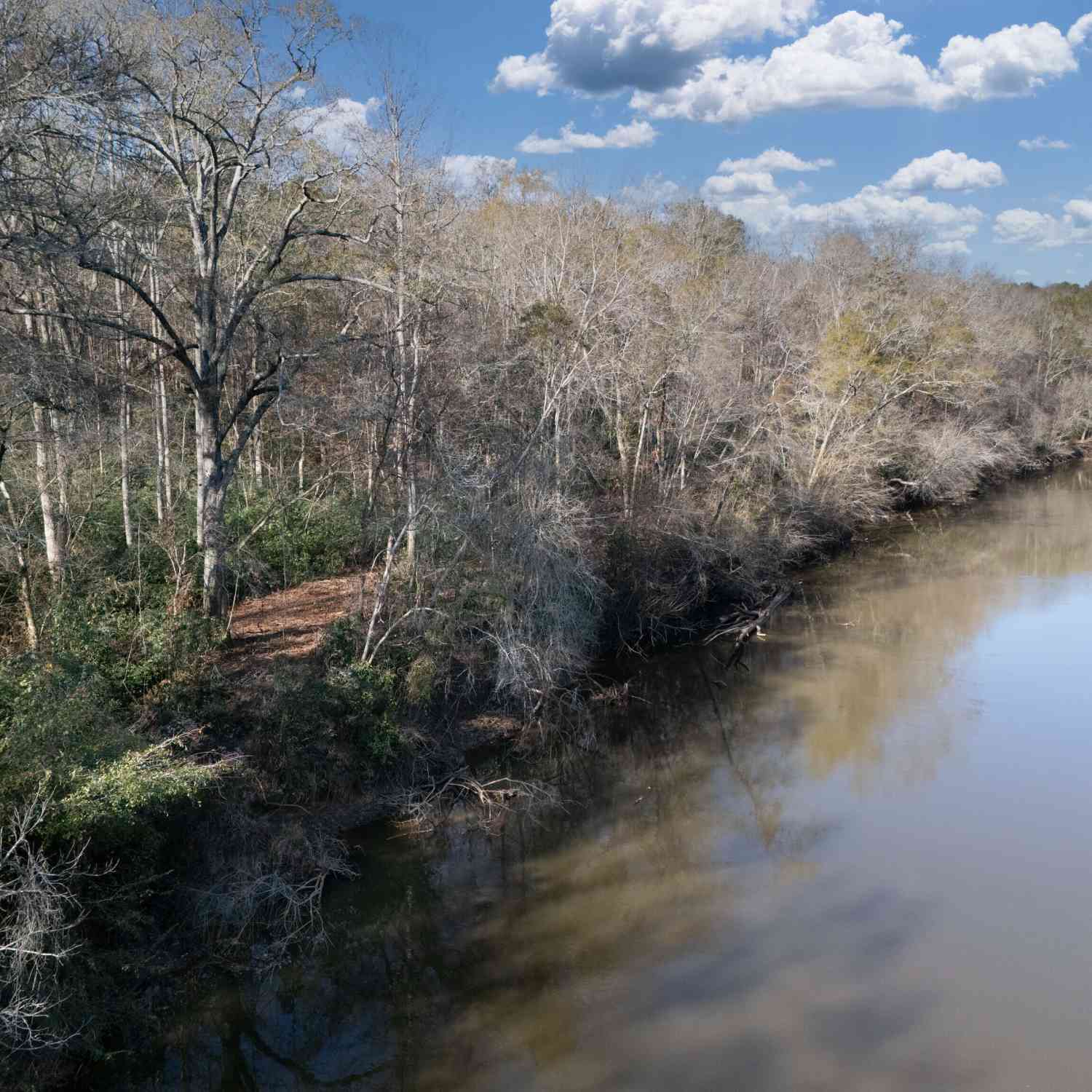 Vacant Land For Sale - County Road 432 Lot 4 #L4<br/> Woodland, AL 36280