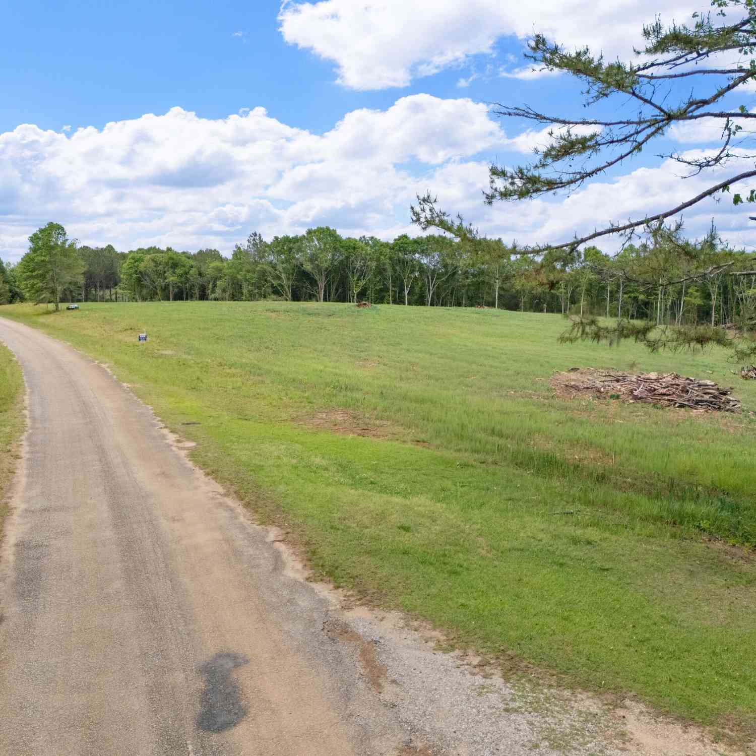 Vacant Land For Sale - County Road 432 Lot 5 #L5<br/> Woodland, AL 36280