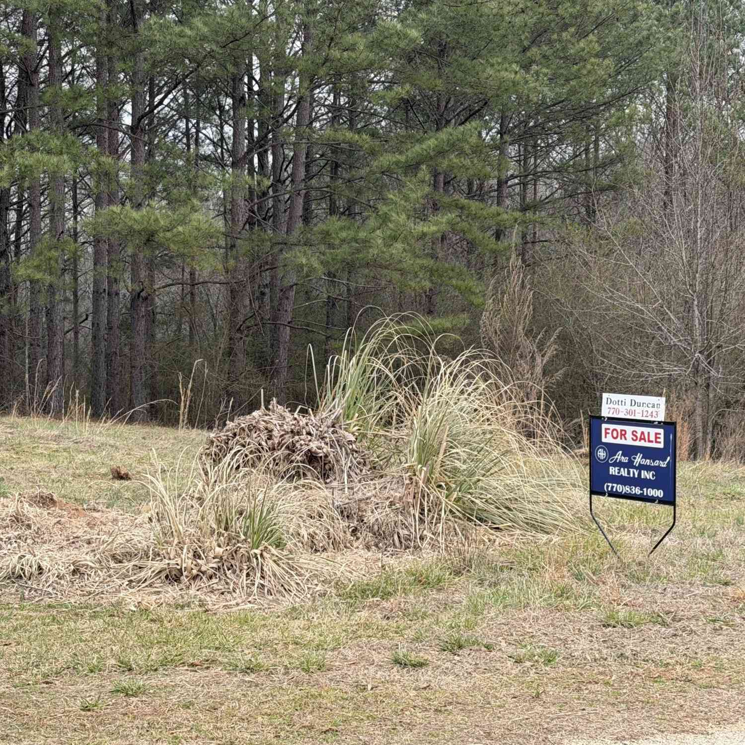 Vacant Land For Sale - County Road 432 Lot 6 #L6<br/> Woodland, AL 36280