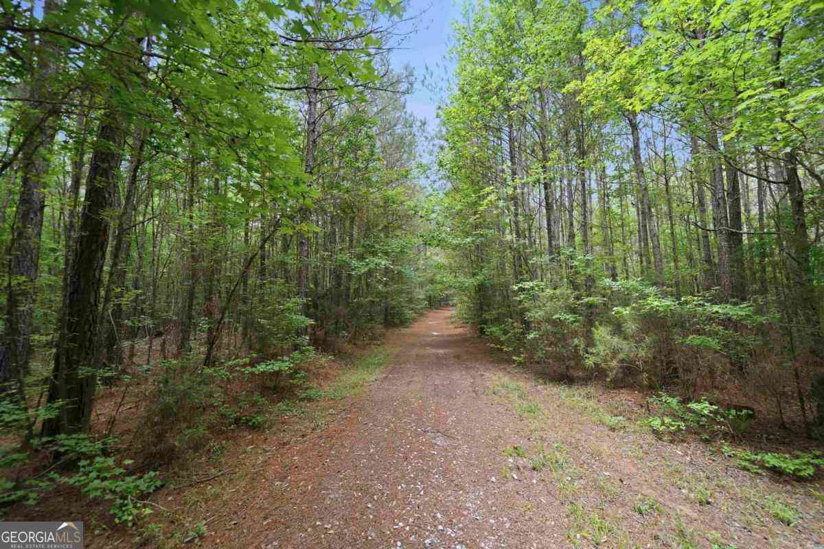 Vacant Land For Sale - Pear Orchard Road<br/> Greene County, Greensboro, GA 30642