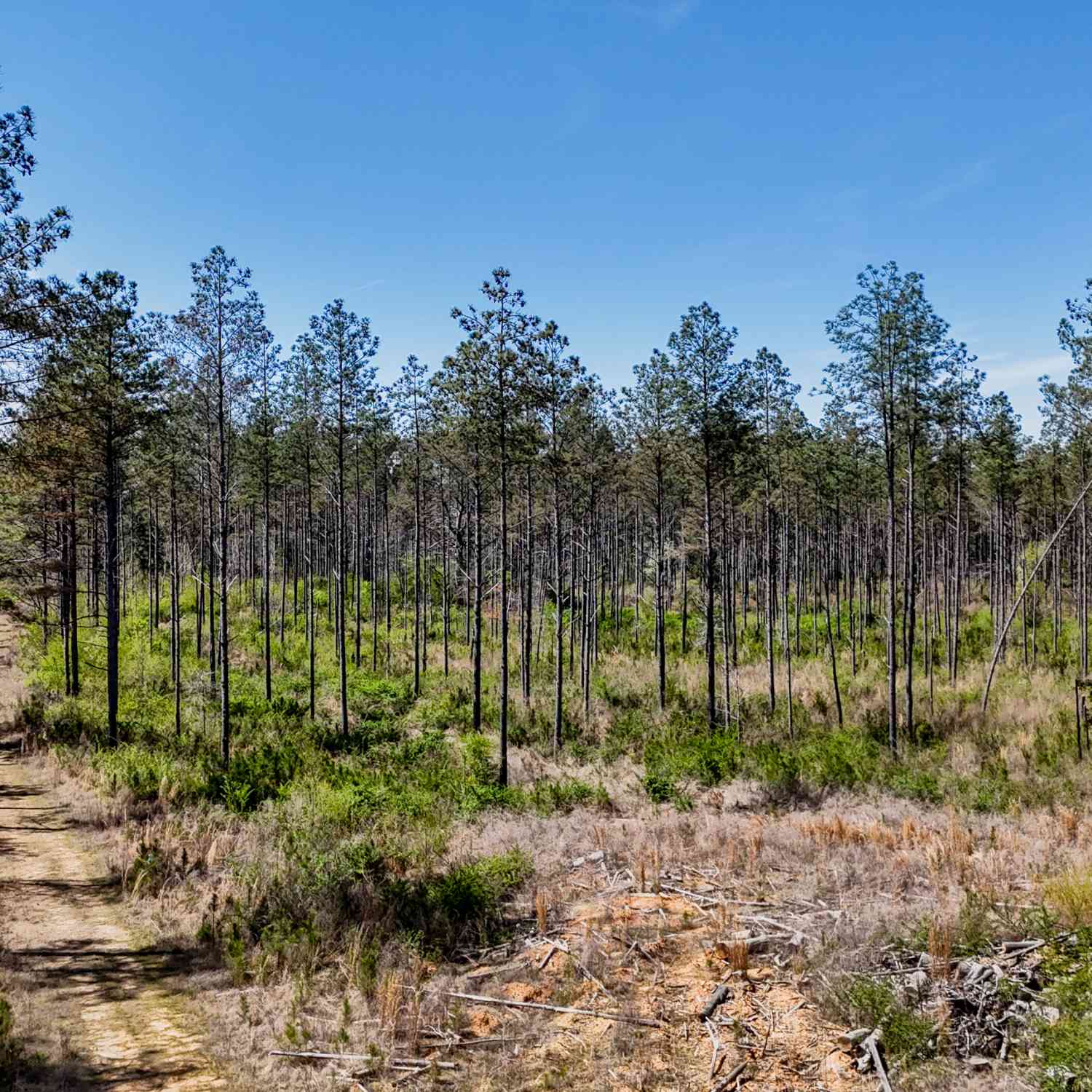Vacant Land For Sale - 403 ACRES Youngs Farm Road<br/> Cedartown, GA 30125