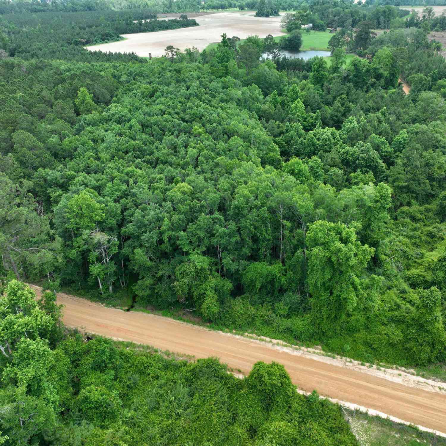 Vacant Land For Sale - Sgt Lonnie Lane<br/> Metter, GA 30439