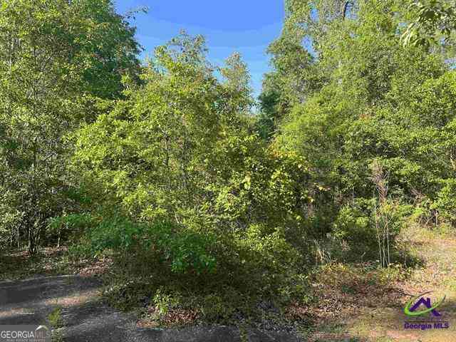 Vacant Land For Sale - Michael Court<br/> Bonaire, GA 31005