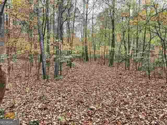 Vacant Land For Sale - 4630 Cleveland Rd<br/> Dekalb County, Stonecrest, GA 30038