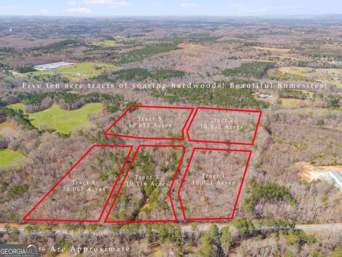Vacant Land For Sale - TRACT2 Georgia Highway 100<br/> Buchanan, GA 30113