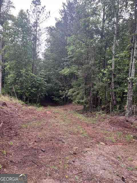 Vacant Land For Sale - Dobbs Mountain Road<br/> Villa Rica, GA 30180