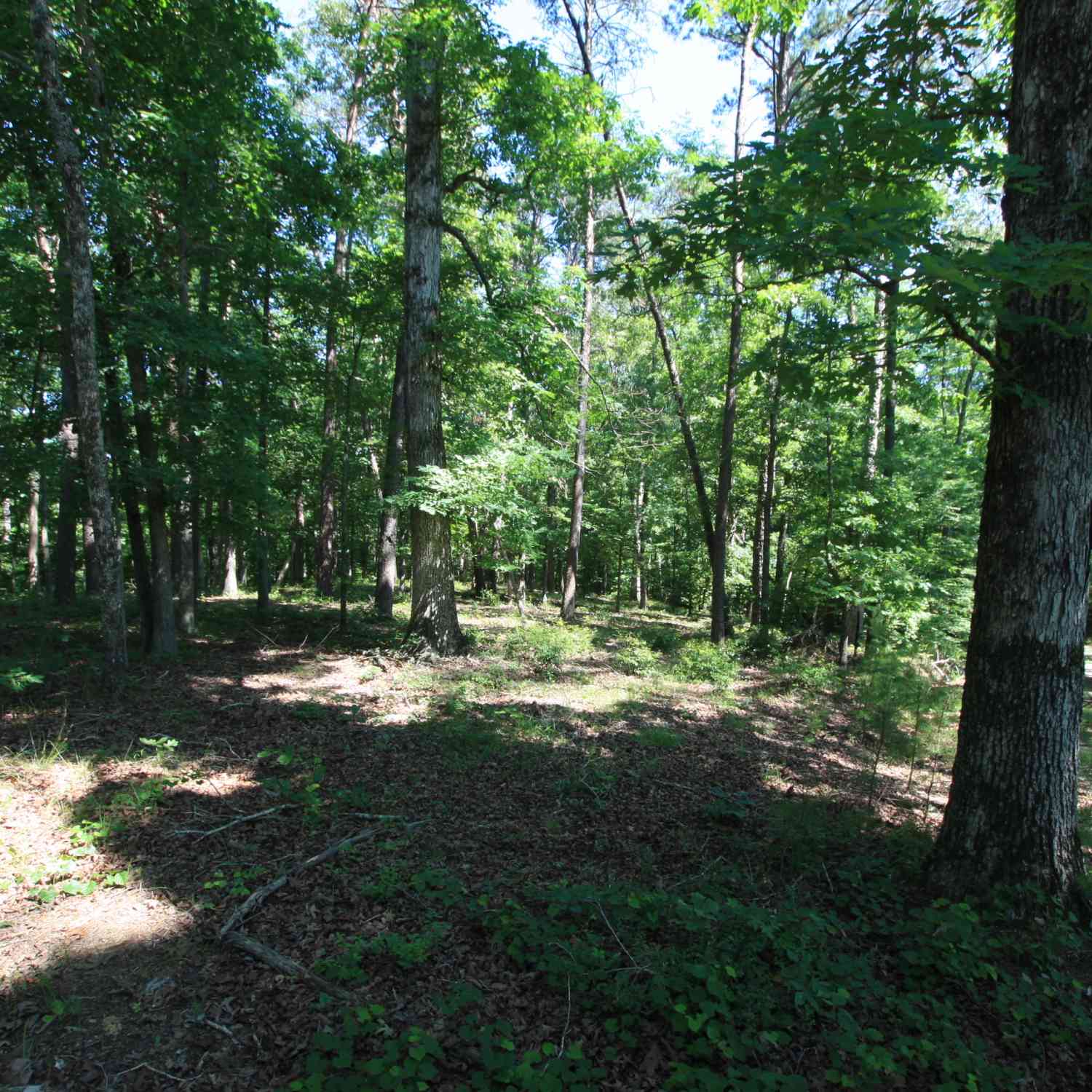 Vacant Land For Sale - Mcgee Bend Road<br/> Rome, GA 30165