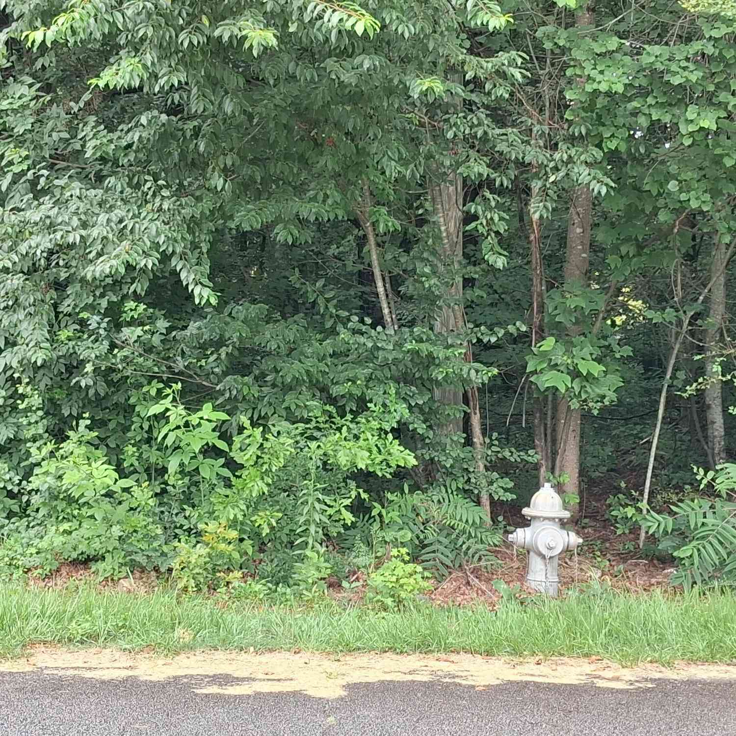 Vacant Land For Sale - N Pleasant Oak Drive<br/> Temple, GA 30179