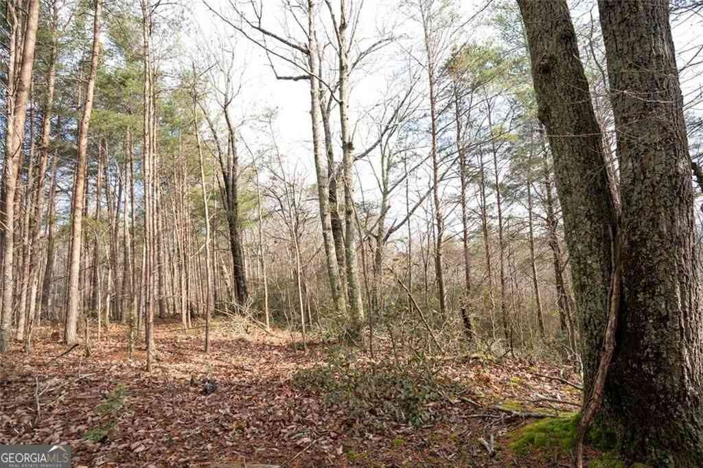 Vacant Land For Sale - 1 Amber Court<br/> Jasper, GA 30143