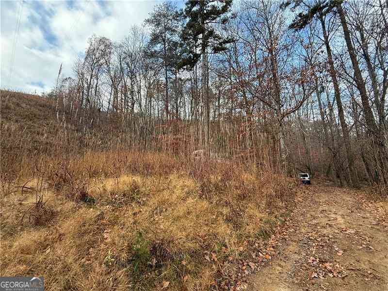 Vacant Land For Sale - Falling Pines Road<br/> Lumpkin County, Dahlonega, GA 30533