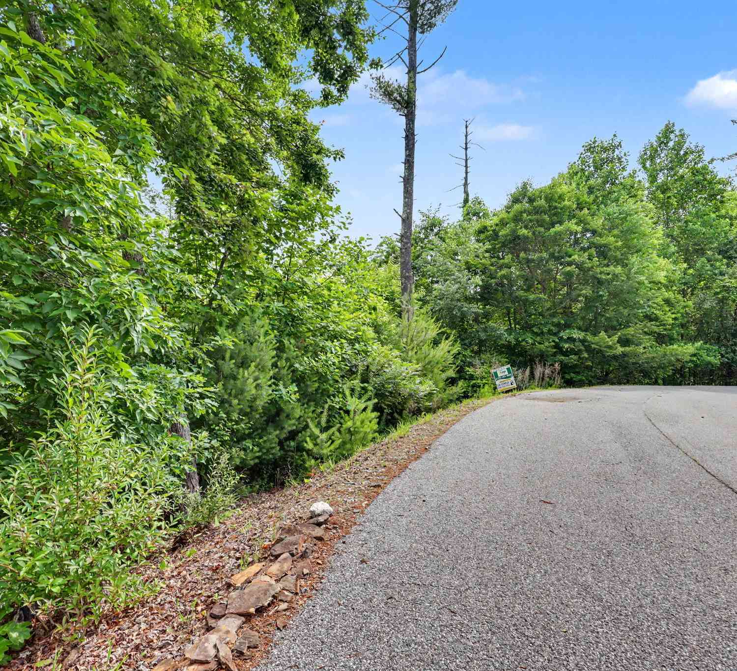 Vacant Land For Sale - 56 Walker Ridge Way<br/> Mineral Bluff, GA 30559