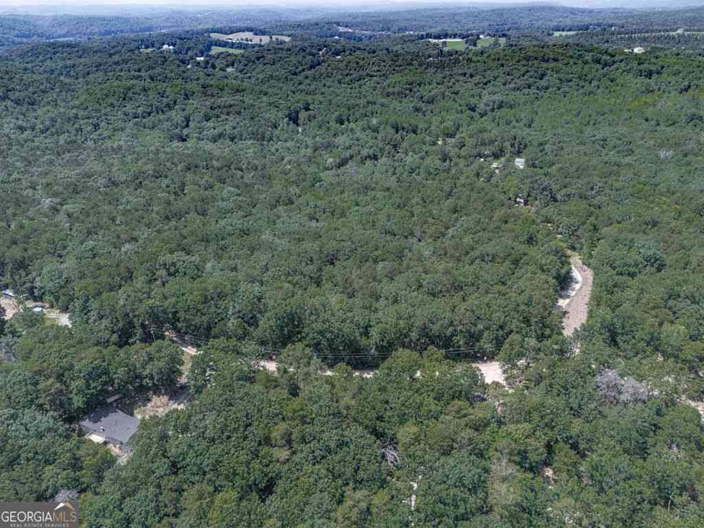 Vacant Land For Sale - 769 Rockhouse Road<br/> Waleska, GA 30183
