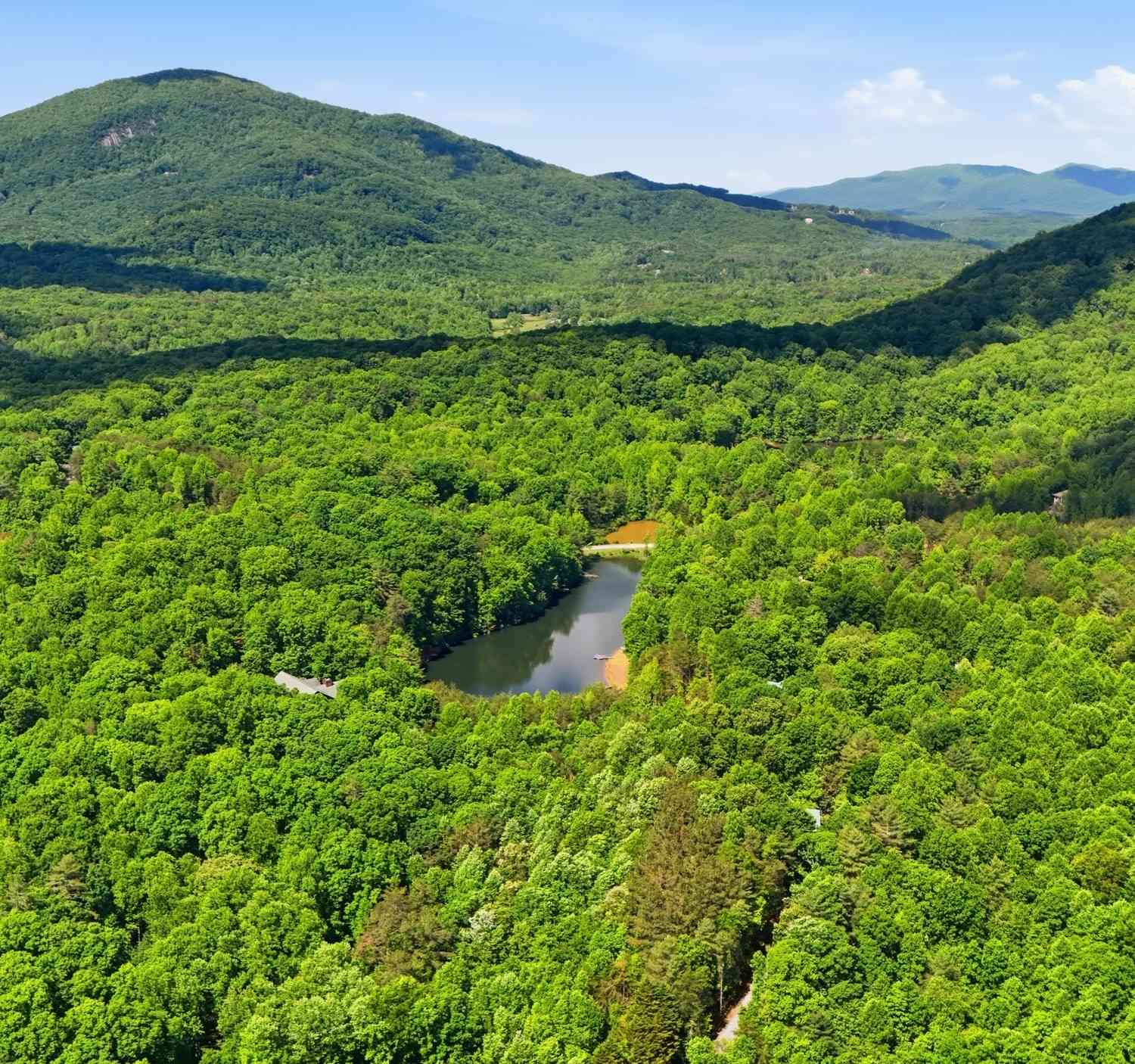 Vacant Land For Sale - Hamik Hollow Road<br/> Cleveland, GA 30528