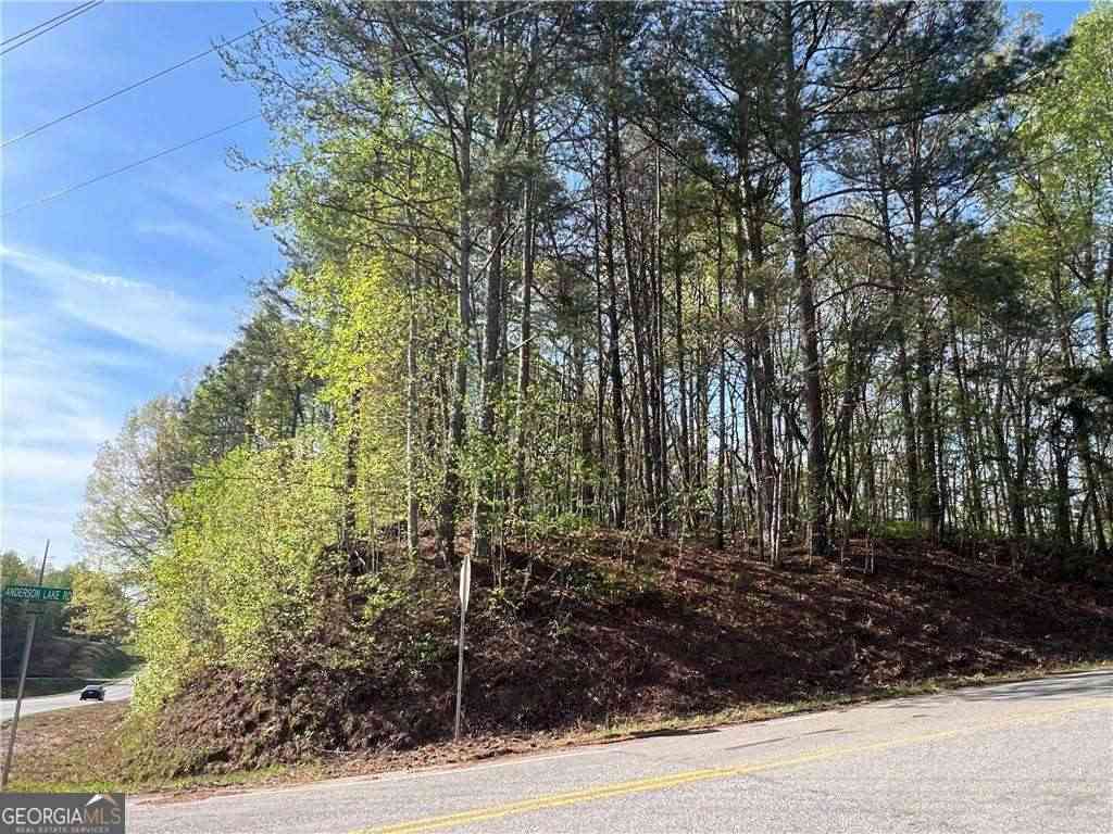 Vacant Land For Sale - 6425 Anderson Lake Road<br/> Dawsonville, GA 30534