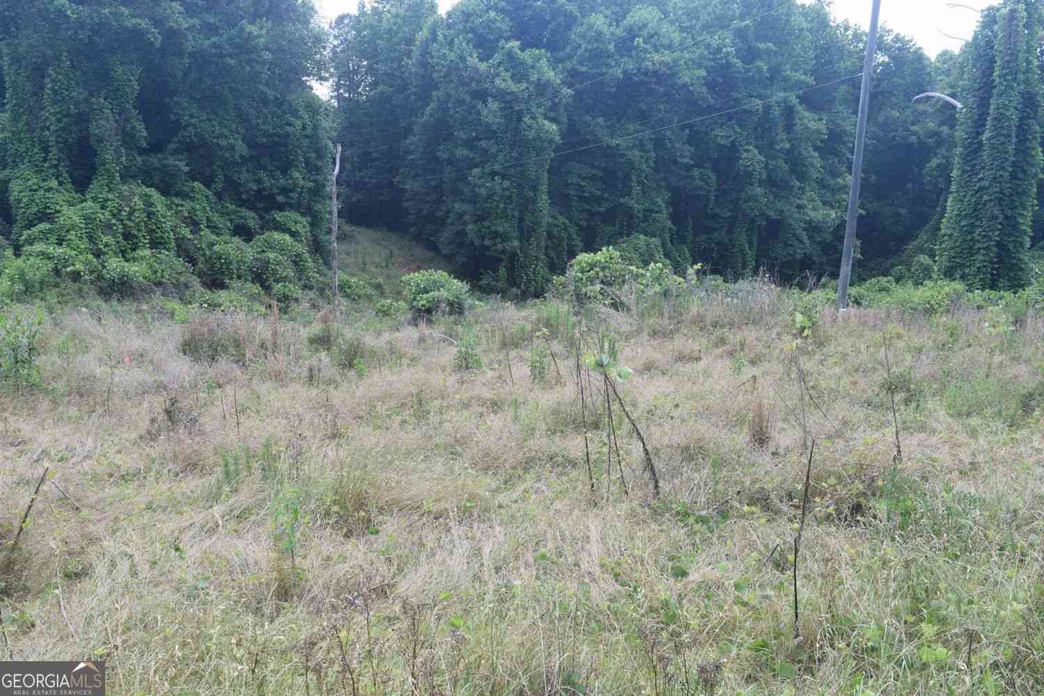 Vacant Land For Sale - 792 Lower Dowda Mill Road<br/> Jasper, GA 30143