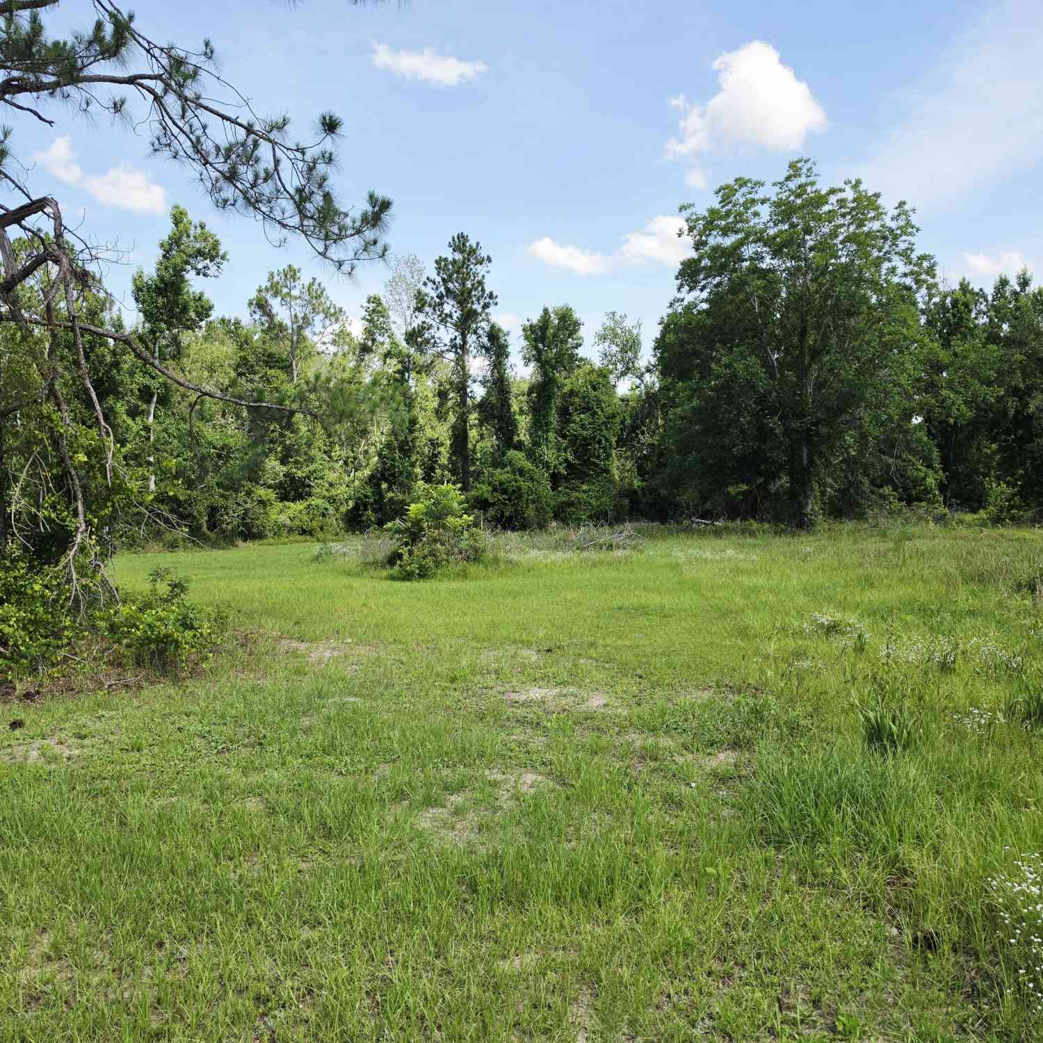 Vacant Land For Sale - Sawmill<br/> Ailey, GA 30410