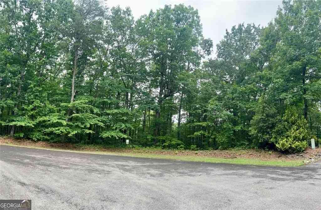 Vacant Land For Sale - Highpointe Trail #194<br/> Ellijay, GA 30536