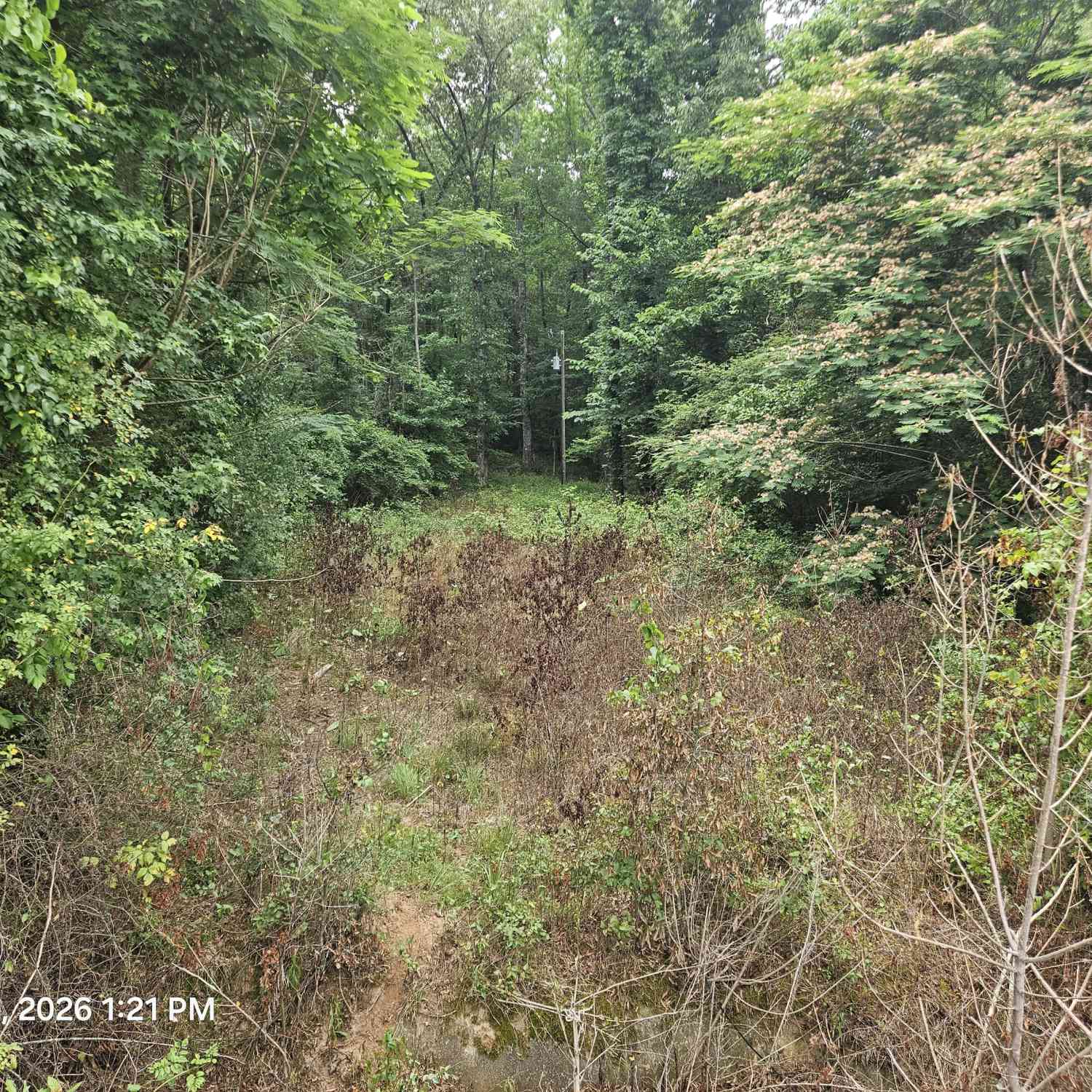 Vacant Land For Sale - Davis Road<br/> Macon, GA 31217