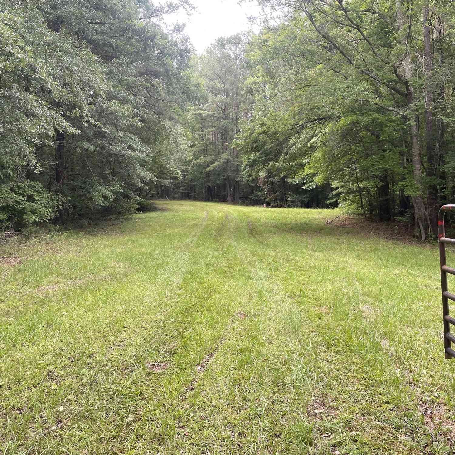 Vacant Land For Sale - Lakewood Drive<br/> Newnan, GA 30263