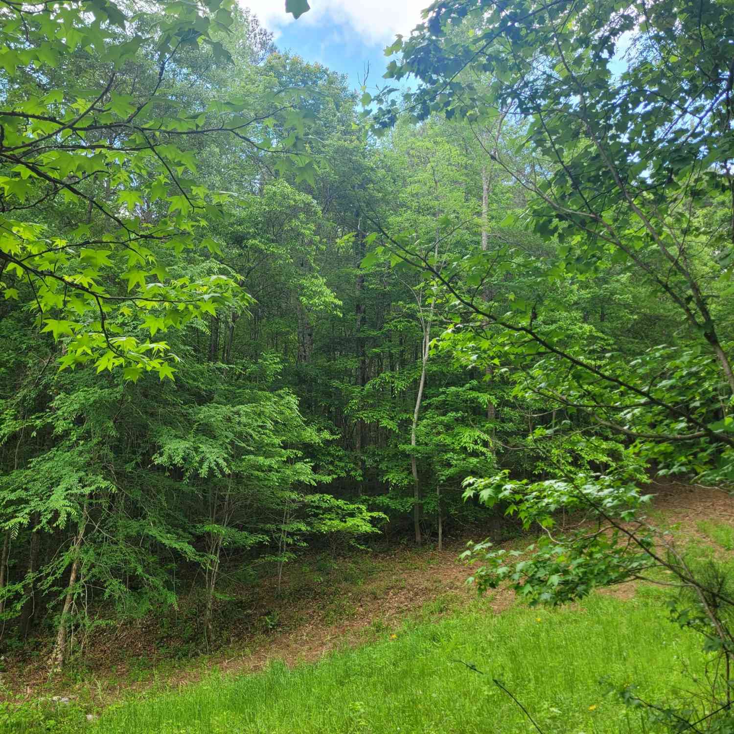 Vacant Land For Sale - Fincherville Rd #TRACT 3<br/> Jackson, GA 30233