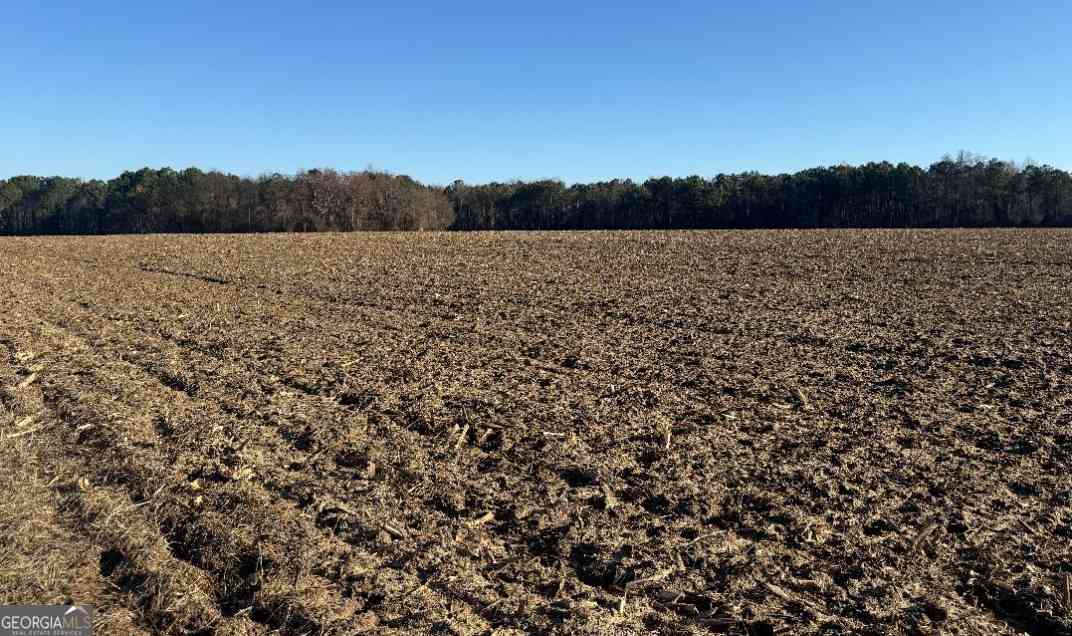 Vacant Land For Sale - Whitfield Road<br/> Hoschton, GA 31025