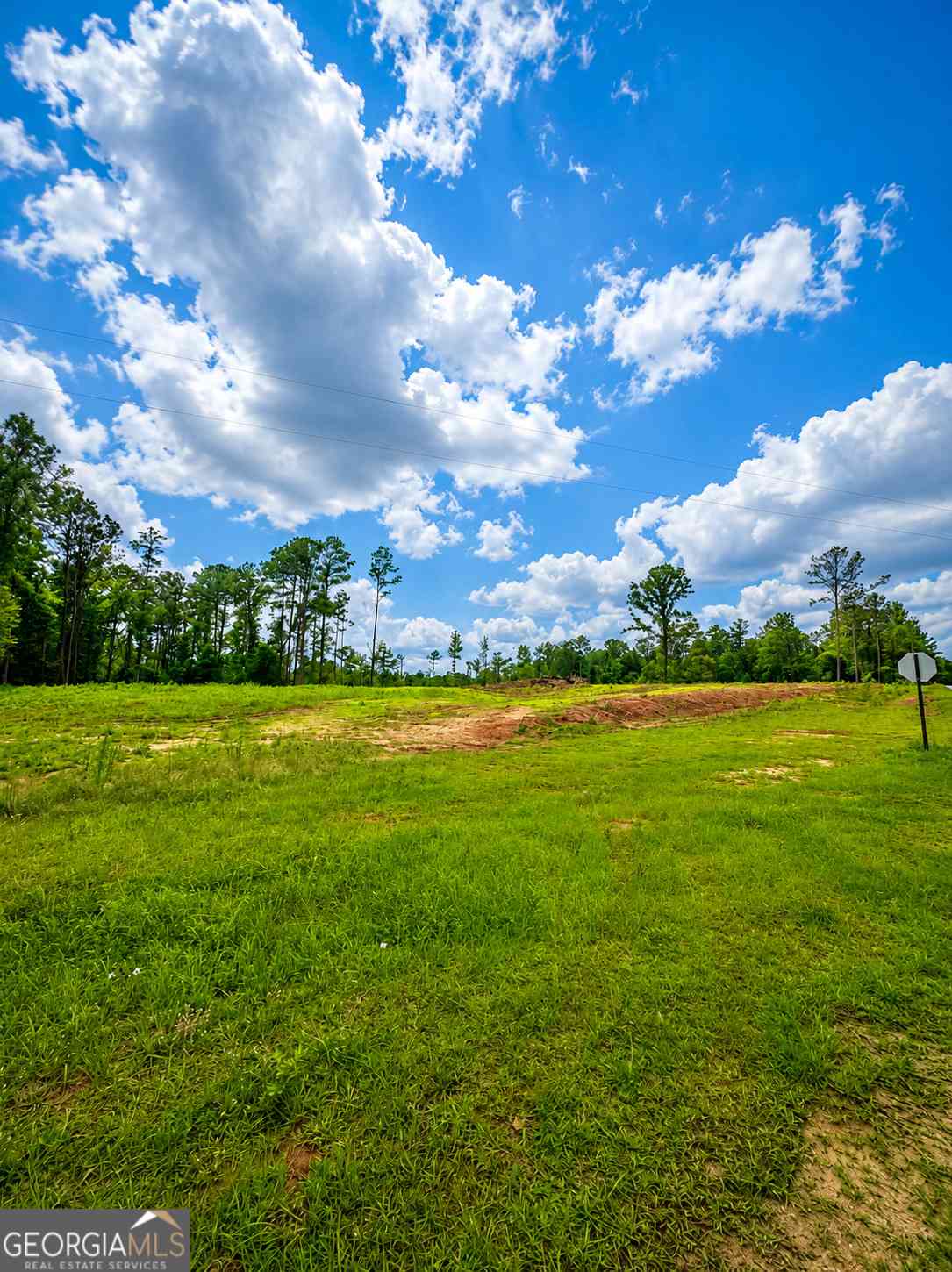 Vacant Land For Sale - White Road #1<br/> Pine Mountain, GA 31822