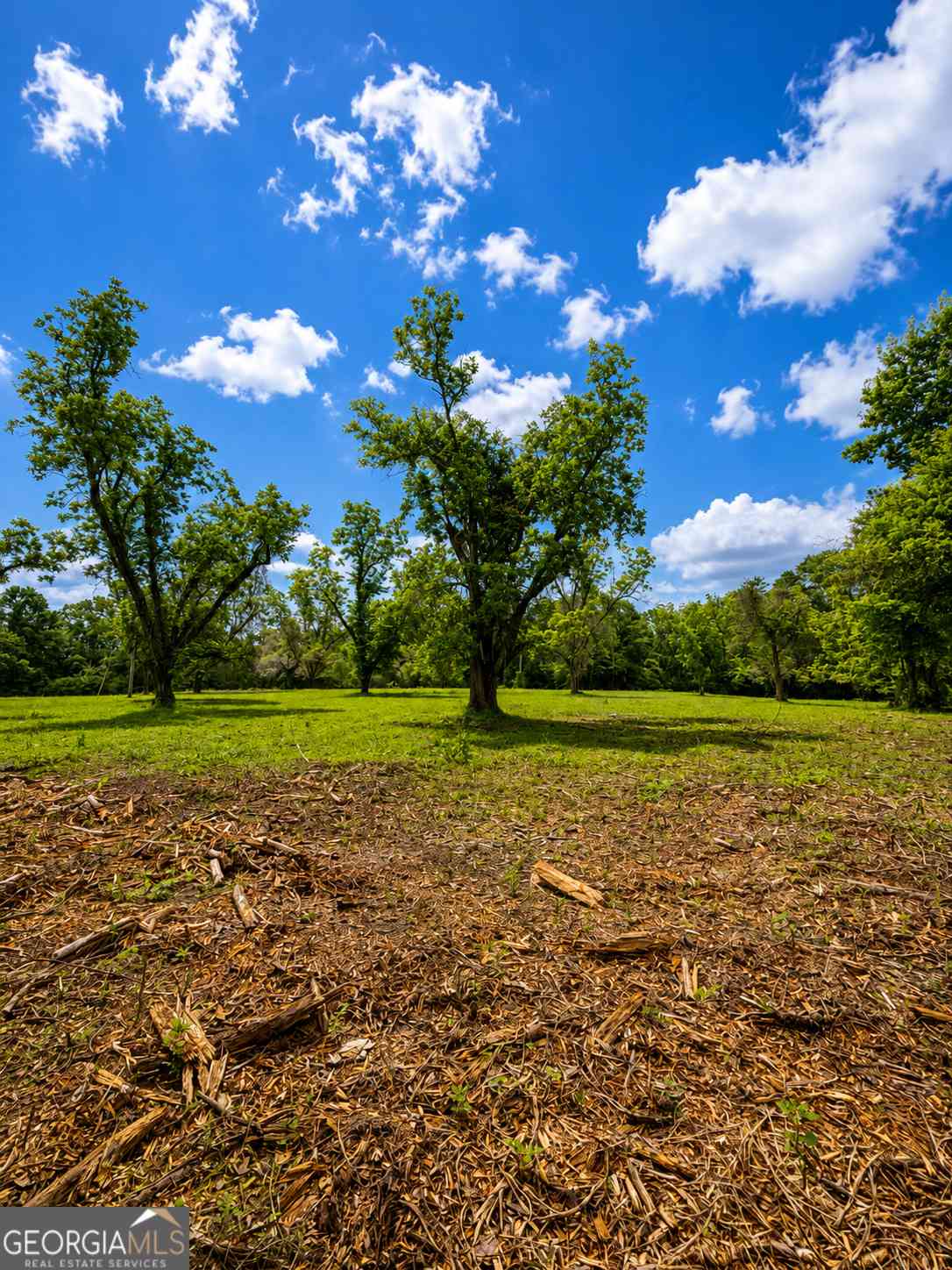 Vacant Land For Sale - Salem Road #3<br/> Pine Mountain, GA 31822