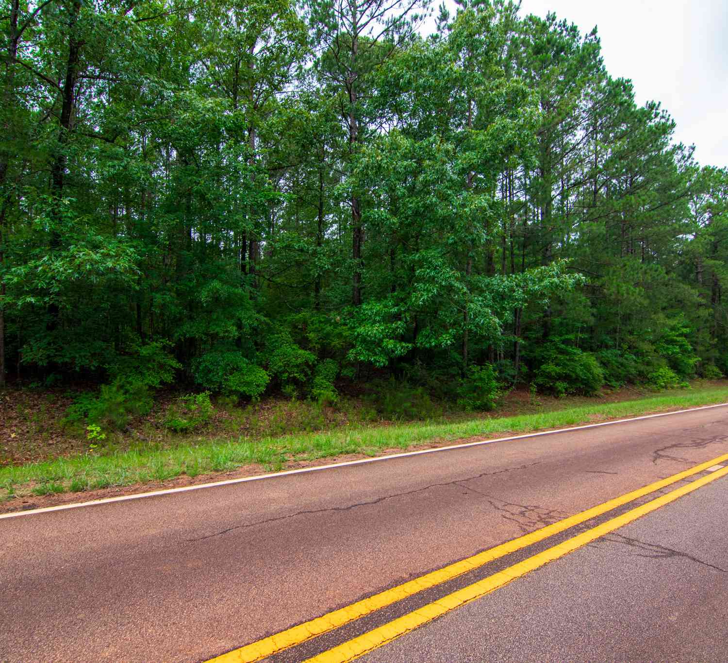 Vacant Land For Sale - White Road<br/> Pine Mountain, GA 31822