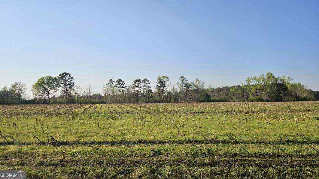 Vacant Land For Sale - Shiloh Road<br/> Greensboro, GA 30642