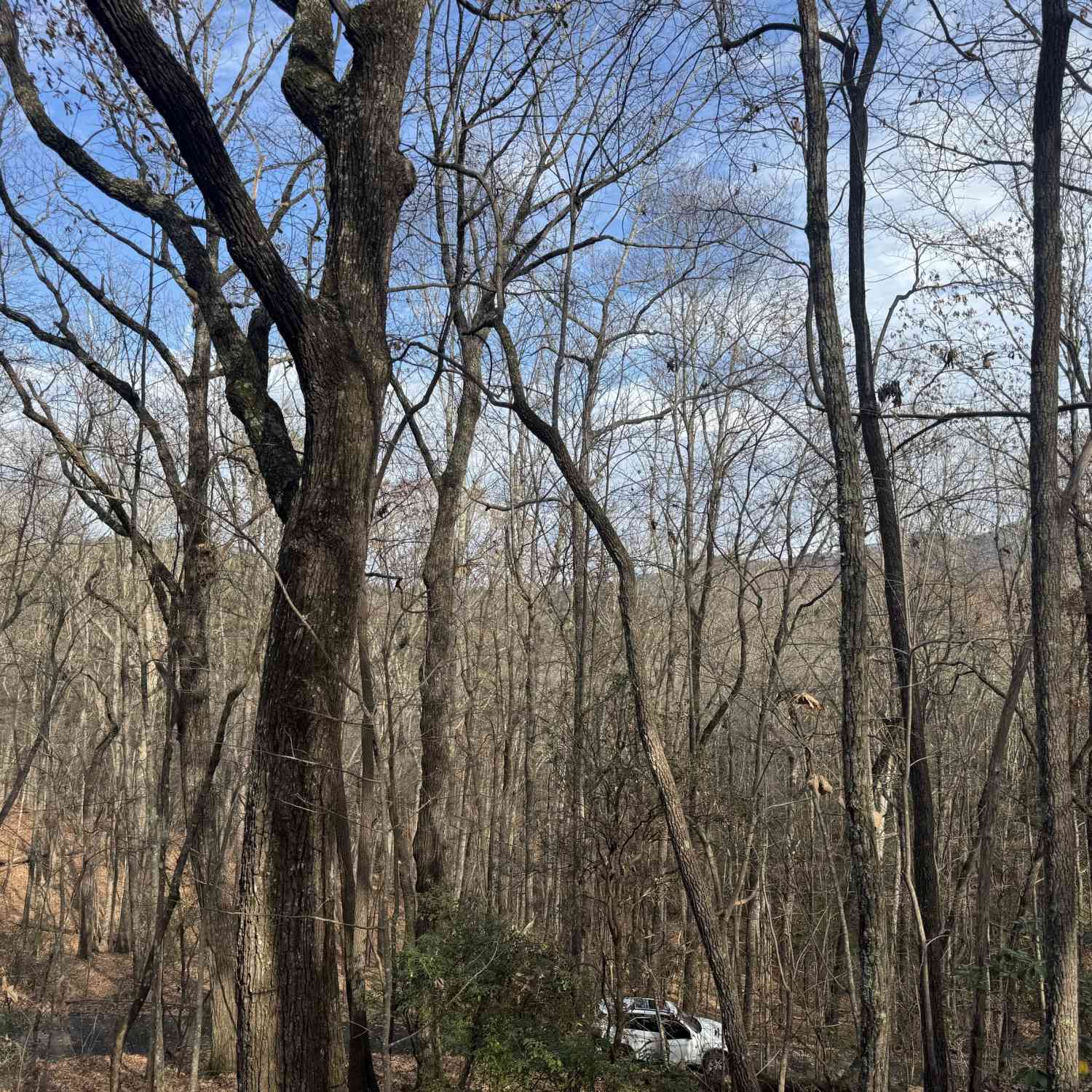Vacant Land For Sale - Geneva Place<br/> Sautee Nacoochee, GA 30571