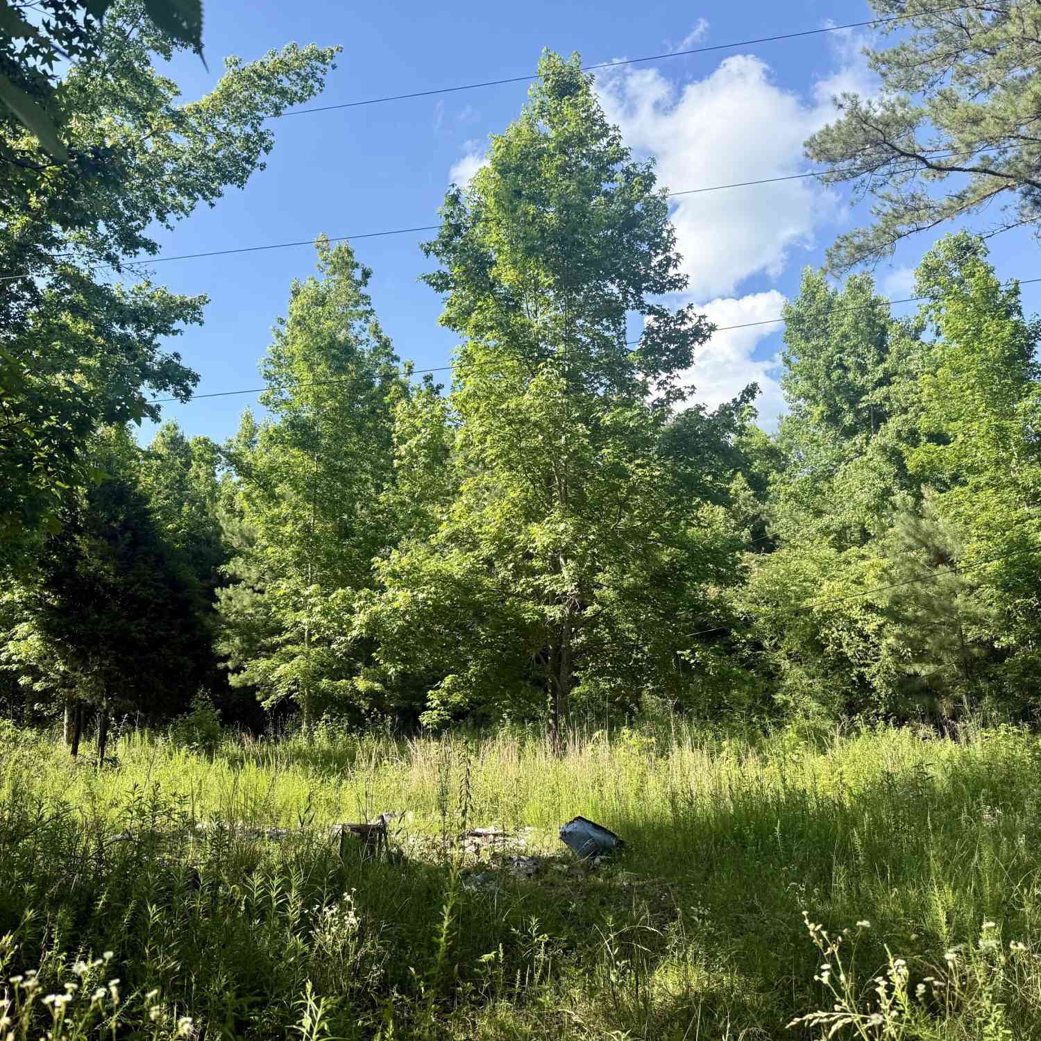 Vacant Land For Sale - 249 Weems Road<br/> Lyerly, GA 30730