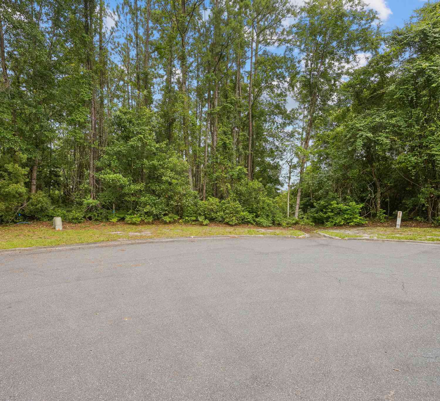 Vacant Land For Sale - Heron Point Lane<br/> Woodbine, GA 31569