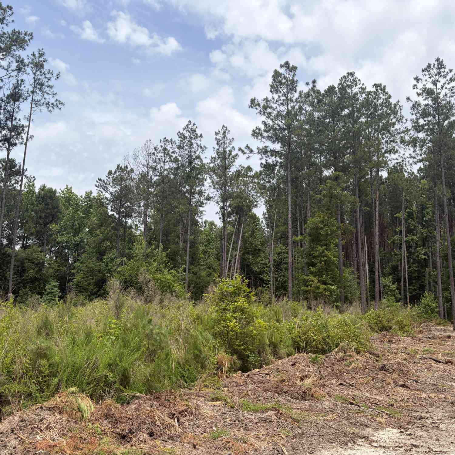 Vacant Land For Sale - 5 Sunhill Grange Road<br/> Davisboro, GA 31018