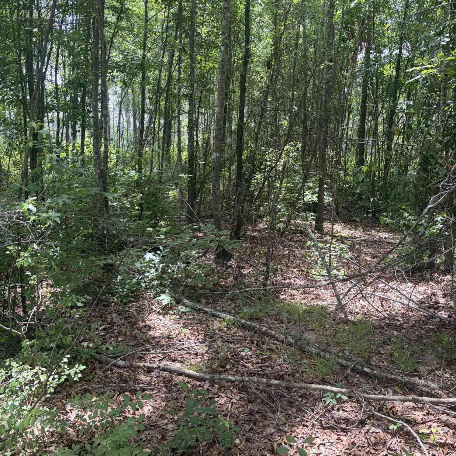 Vacant Land For Sale - 8 Sunhill Grange Road<br/> Davisboro, GA 31018