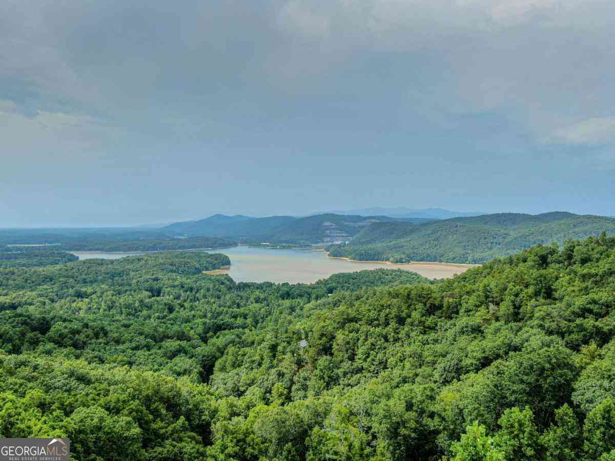 Vacant Land For Sale - 965 Raccoon Ridge NE<br/> Ranger, GA 30734