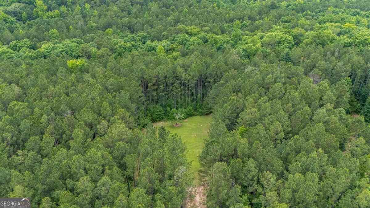 Vacant Land For Sale - 816 Teagle Road<br/> Jackson, GA 30233
