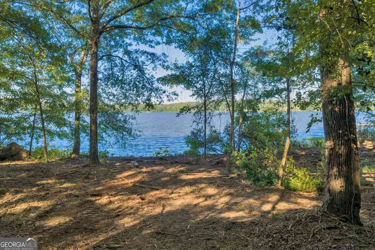 Vacant Land For Sale - 115 Water Way Court<br/> Macon, GA 31220