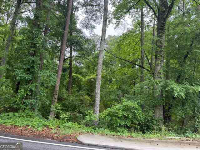 Vacant Land For Sale - Johnson Road<br/> Palmetto, GA 30268