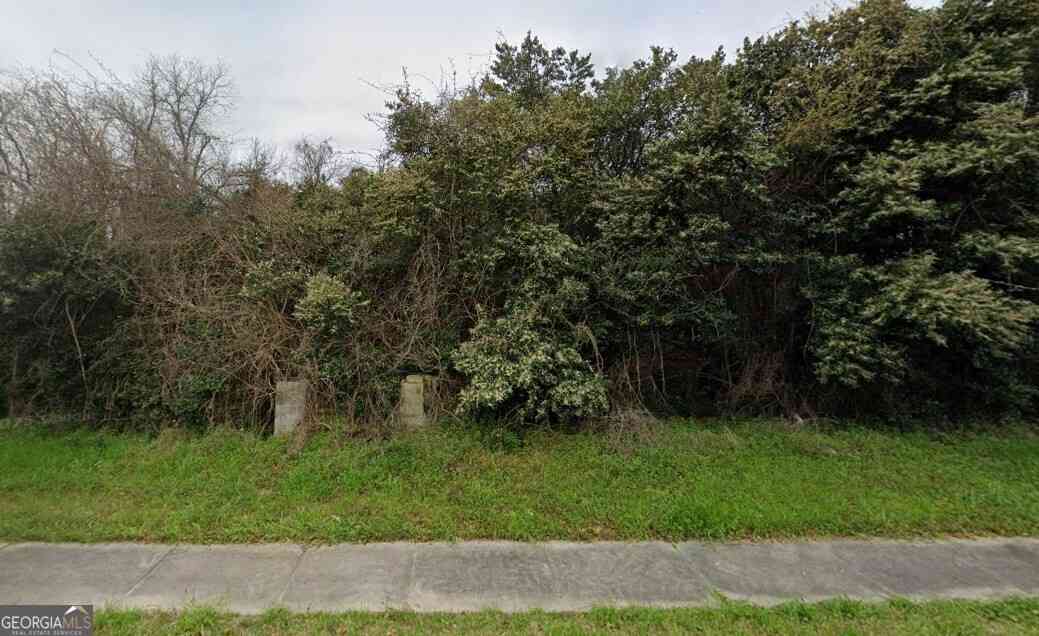 Vacant Land For Sale - 208 Railroad Street<br/> Brooklet, GA 30415