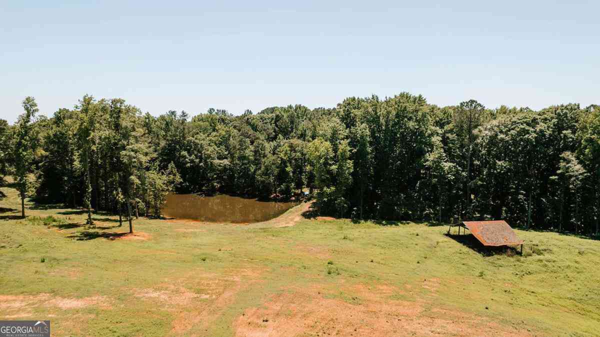 Vacant Land For Sale - Mitchell Farm Road<br/> Colbert, GA 30628