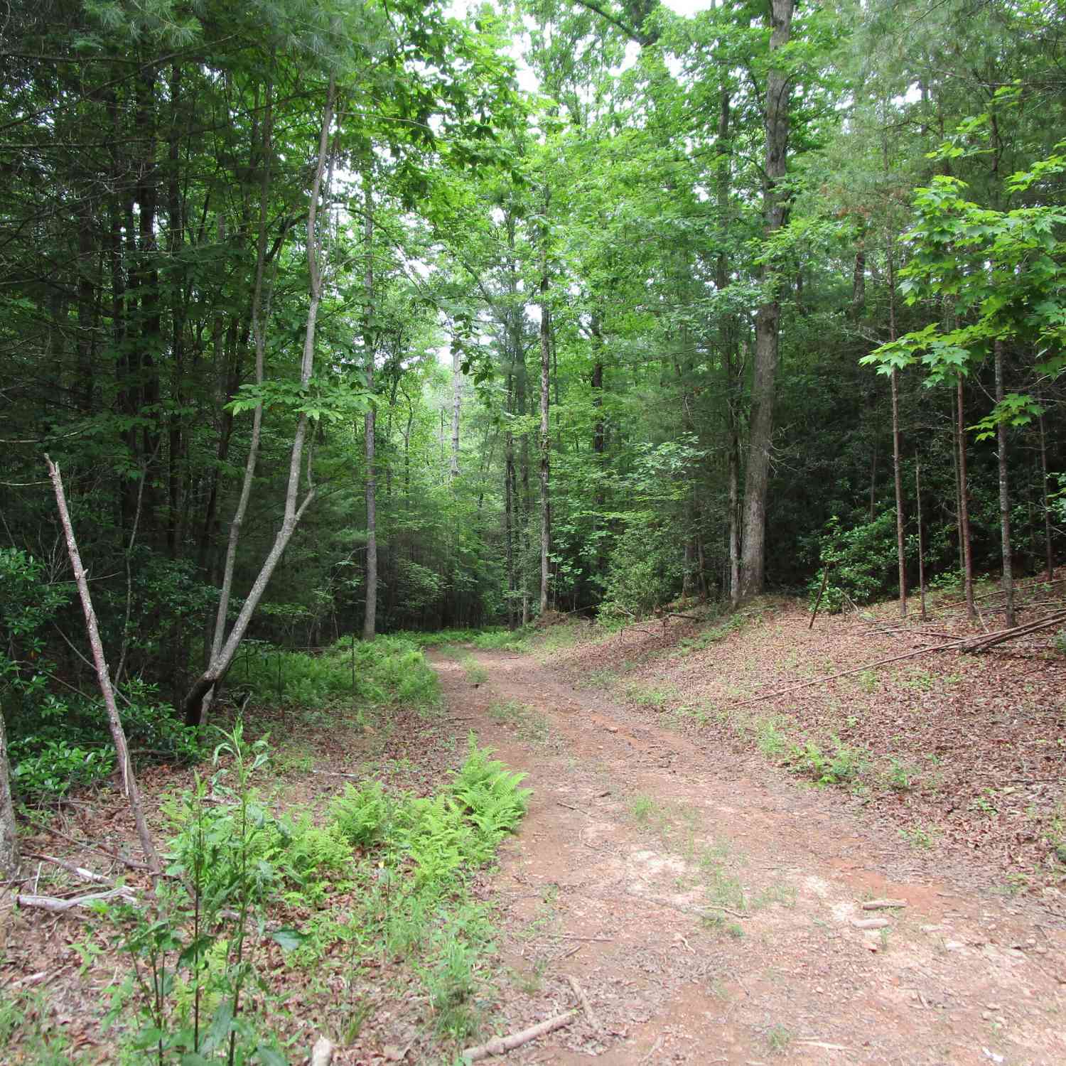 Vacant Land For Sale - TRACT 2 E New Hope Road<br/> Ellijay, GA 30536