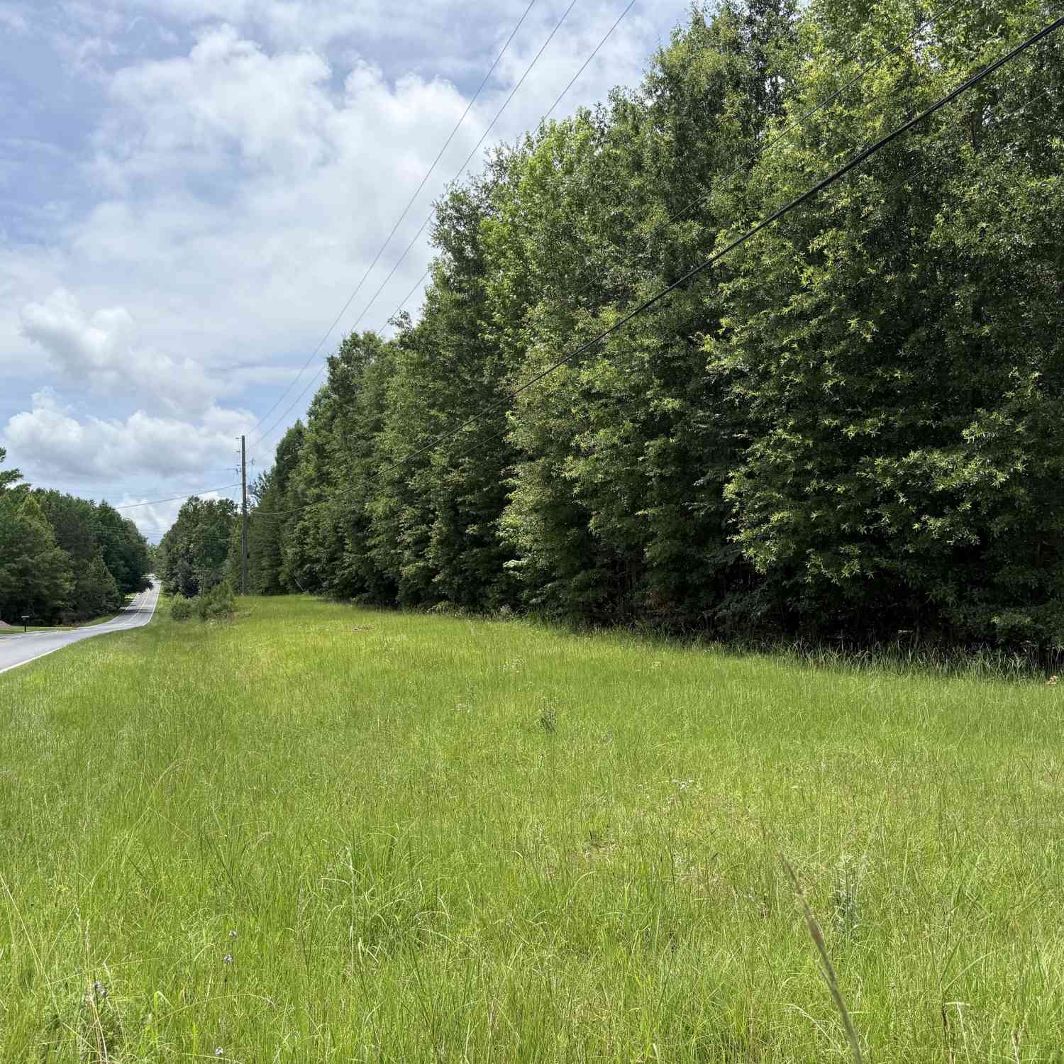Vacant Land For Sale - LOT# 148 Hillview Road<br/> Hampton, GA 30228