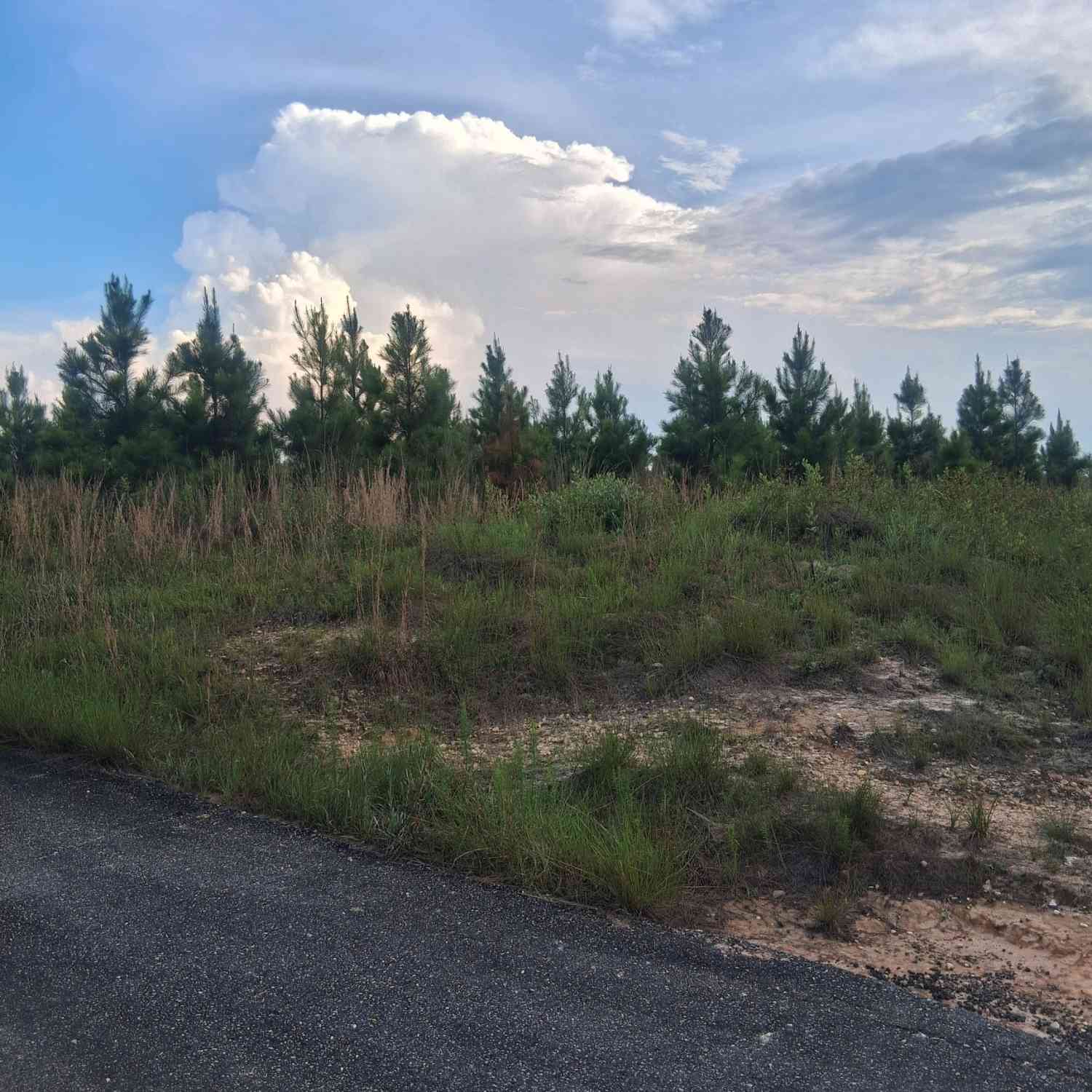 Vacant Land For Sale - Abbeville Highway<br/> Eastman, GA 31023