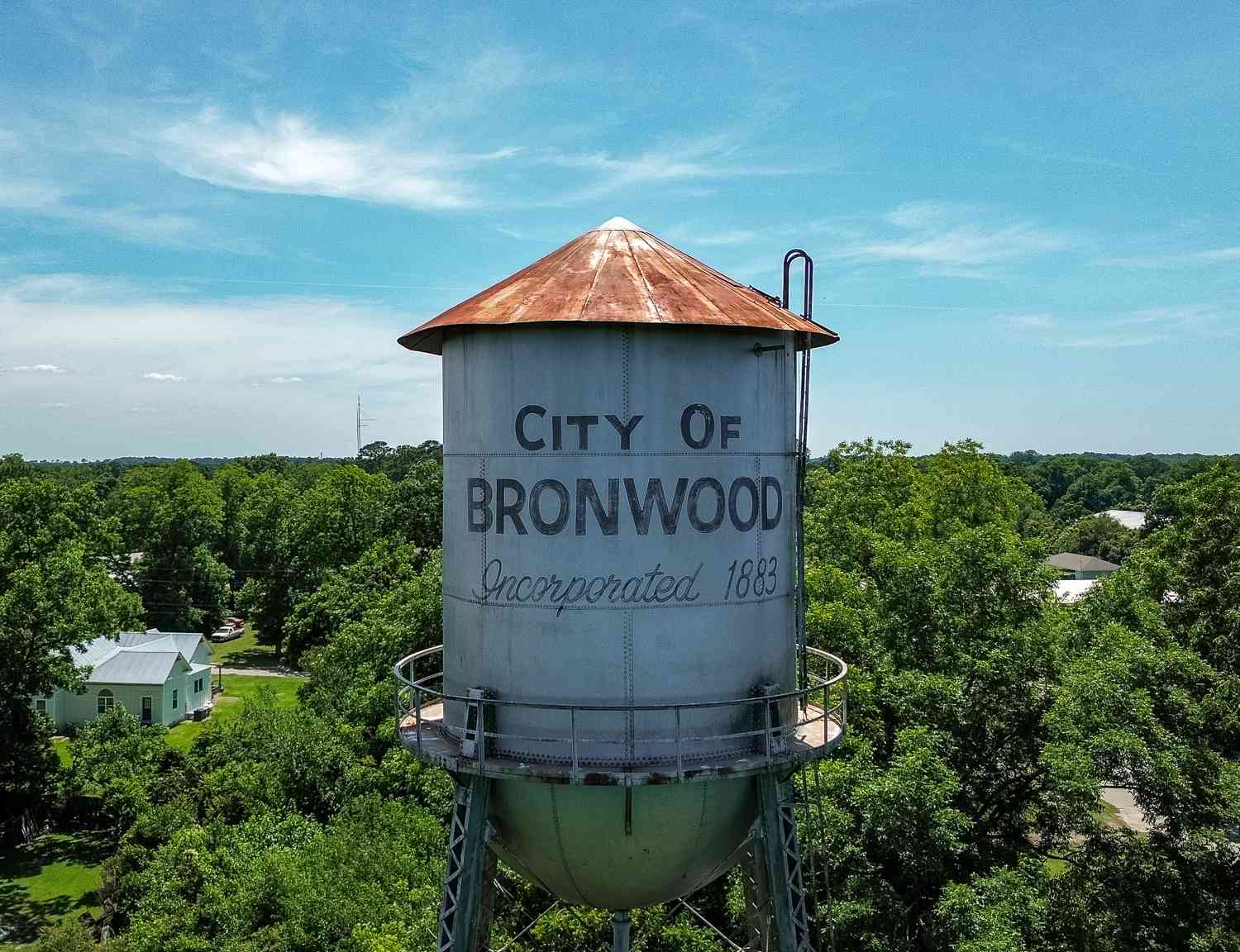 Vacant Land For Sale - Johnson North Street<br/> Terrell County, Bronwood, GA 39826