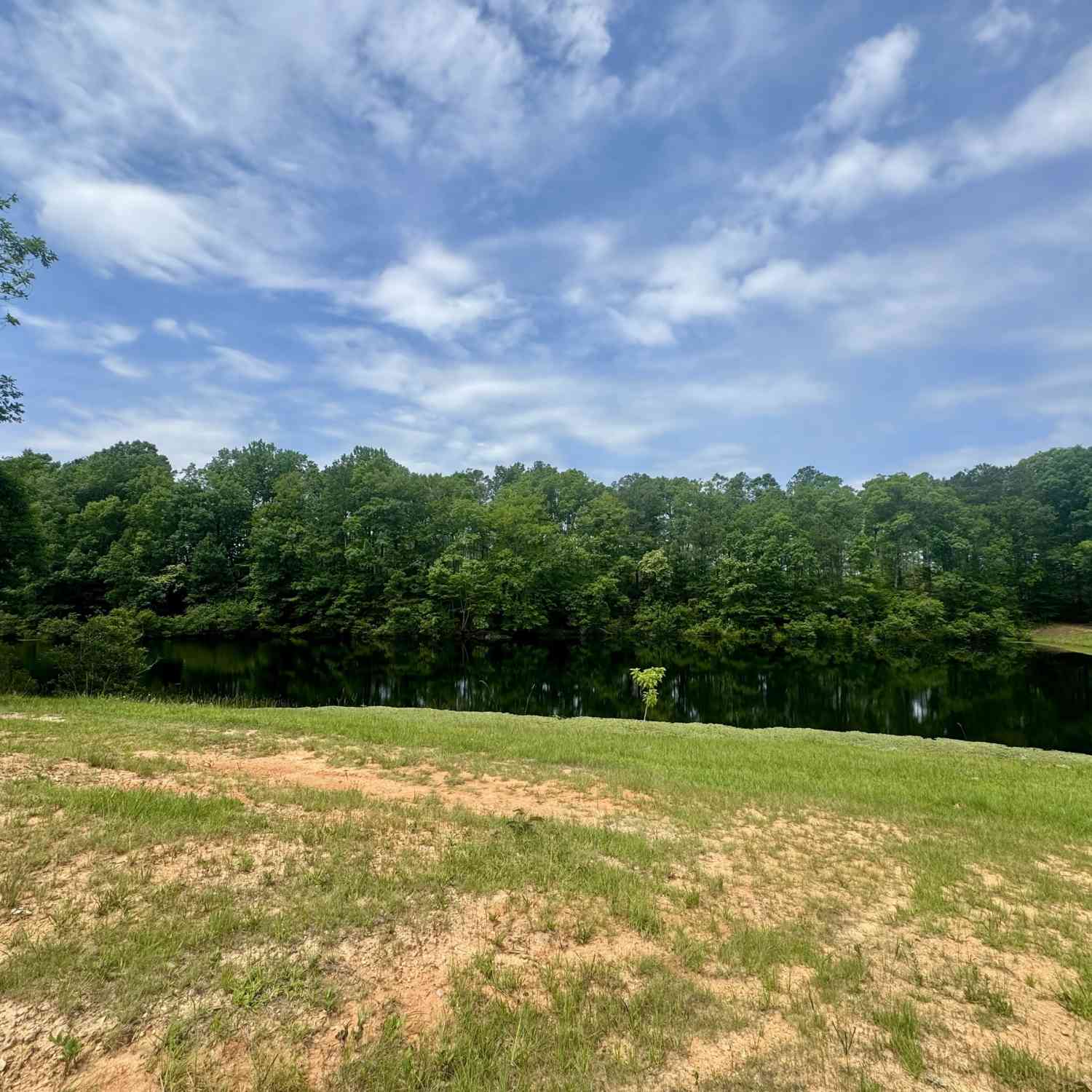 Vacant Land For Sale - 1207 Musella Road<br/> Musella, GA 31066