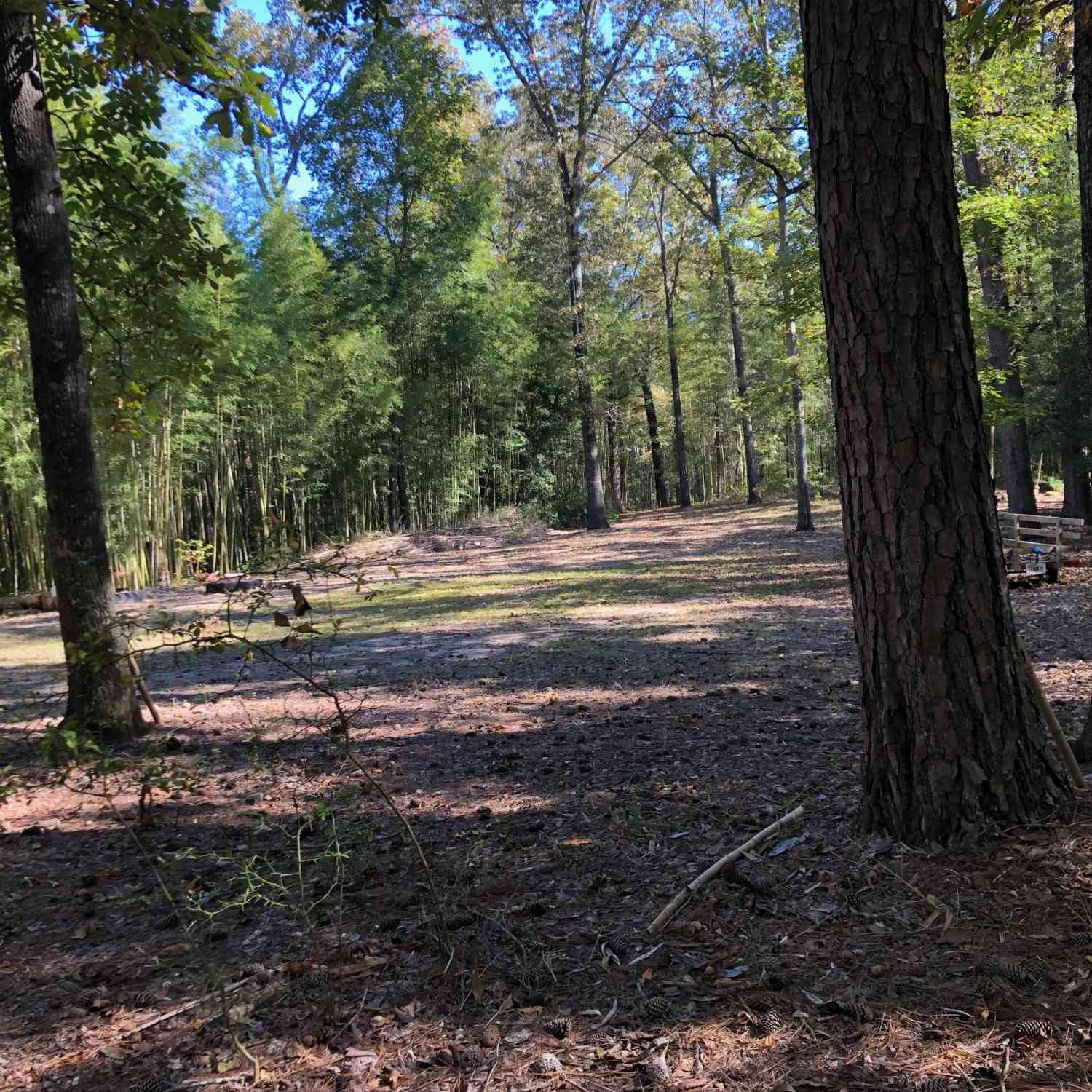 Vacant Land For Sale - 215 Webb Street<br/> Warner Robins, GA 31093